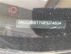 جيب رينيجيد